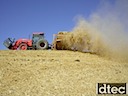 Straw Mulch