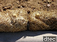 DTEC_0353