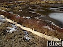 Climax - Wetland Protection
